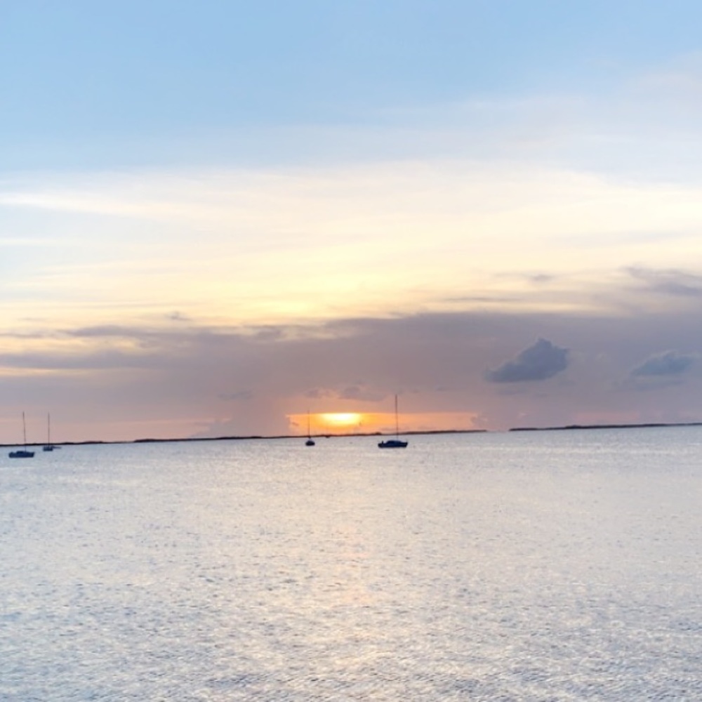 Meet your Posher, Marissa